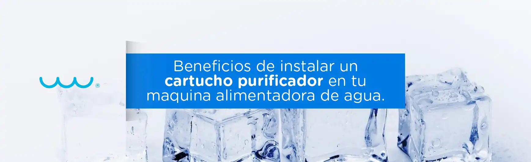 Beneficios de instalar un cartucho purificador en tu maquina alimentadora de agua.