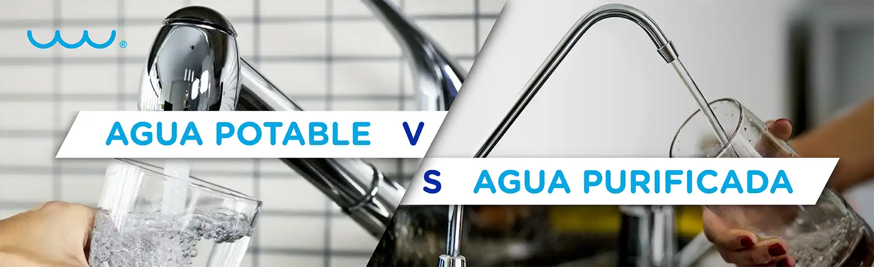 Agua potable vs Agua purificada.