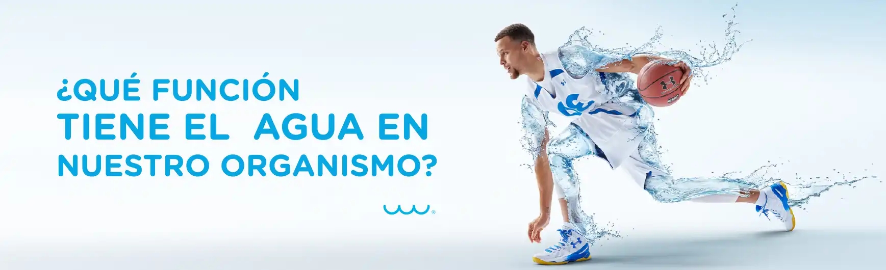 ¿Qué función tiene el agua en nuestro organismo?