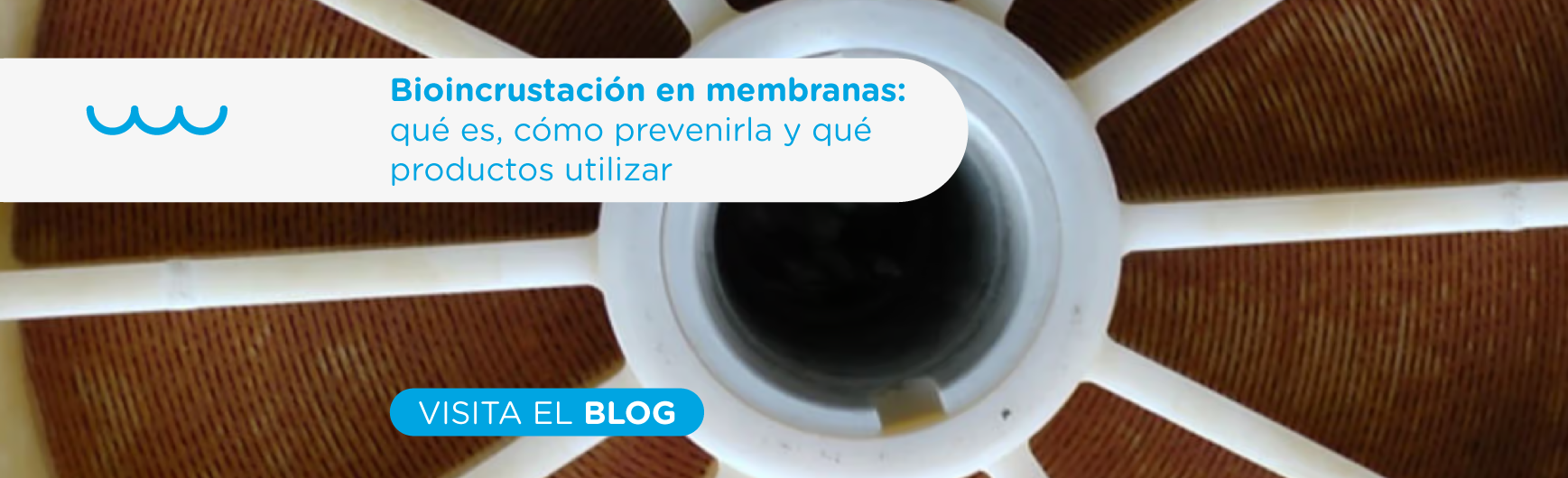 Bioincrustación en membranas: qué es, cómo prevenirla y qué productos utilizar