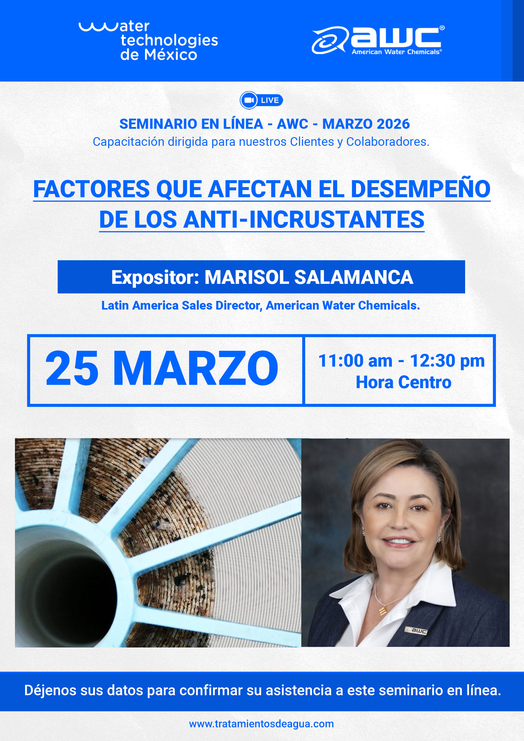 Factores que afectan el desempeño de los anti-incrustantes